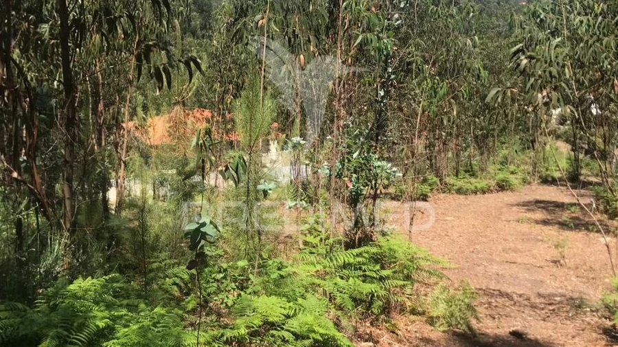 Terreno para Venda em Vinhos