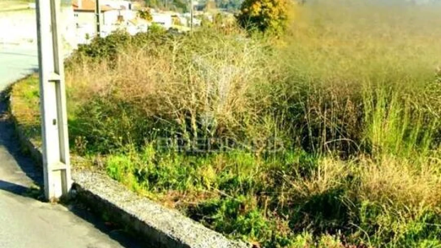 Terreno para Venda em Golães