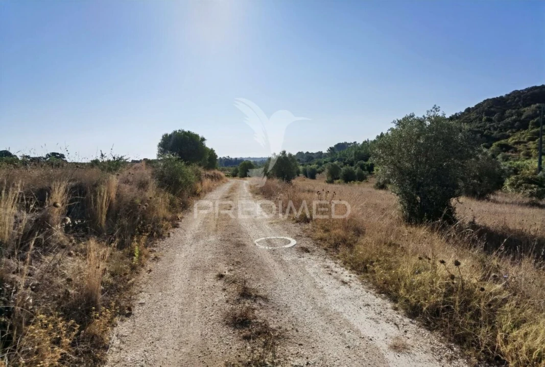 Terreno para Venda em Pedrogão Foto 13