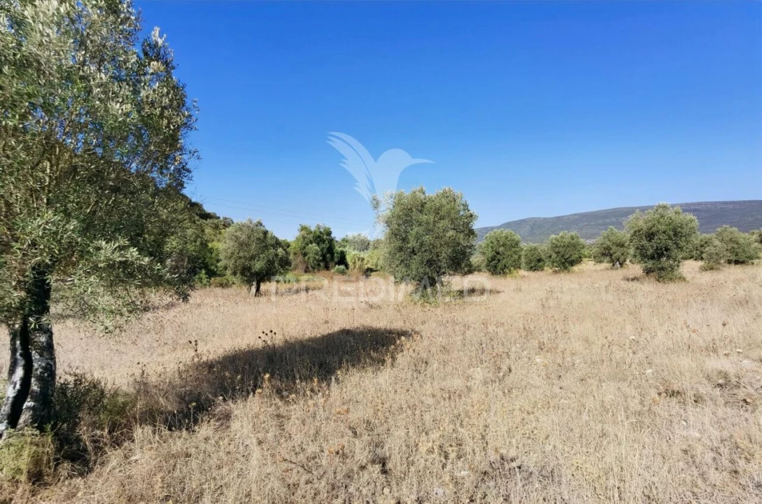 Terreno para Venda em Pedrogão Foto 22