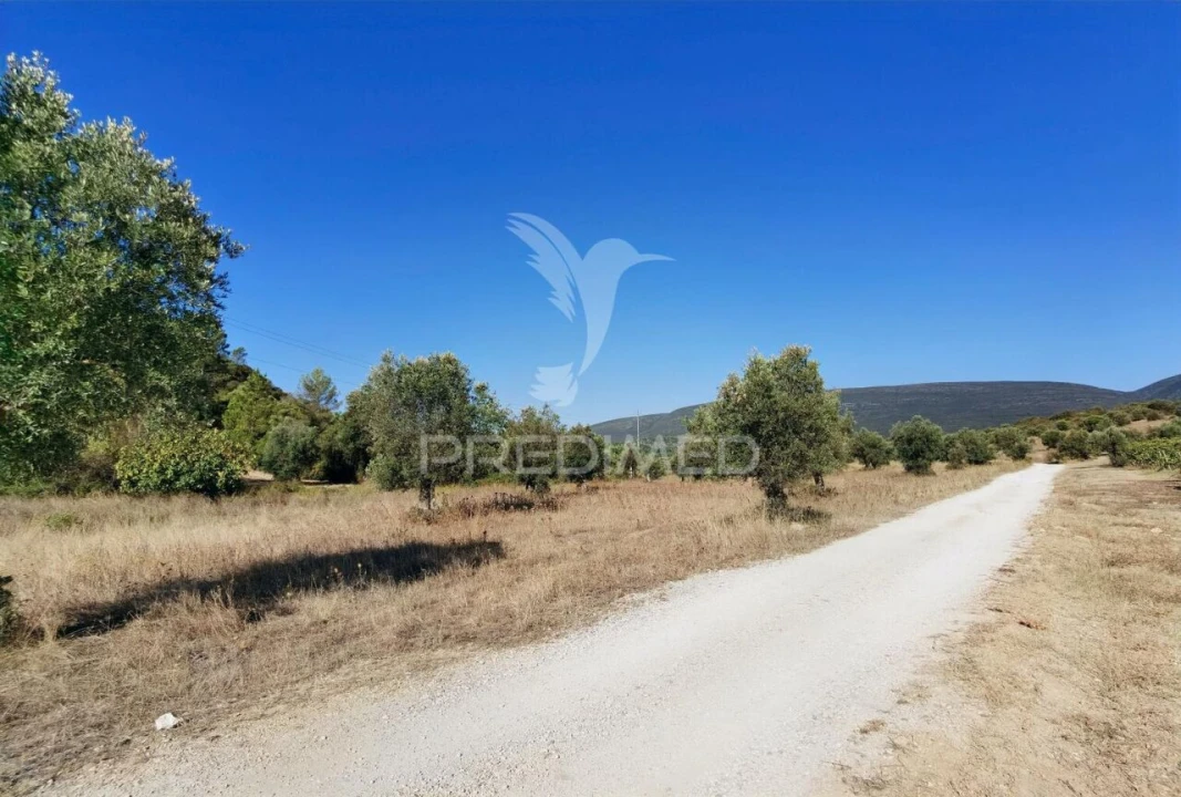 Terreno para Venda em Pedrogão Foto 25