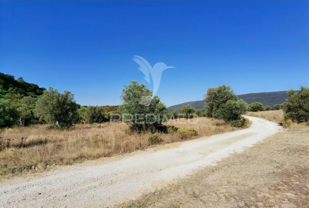 Terreno para Venda em Pedrogão Foto 31