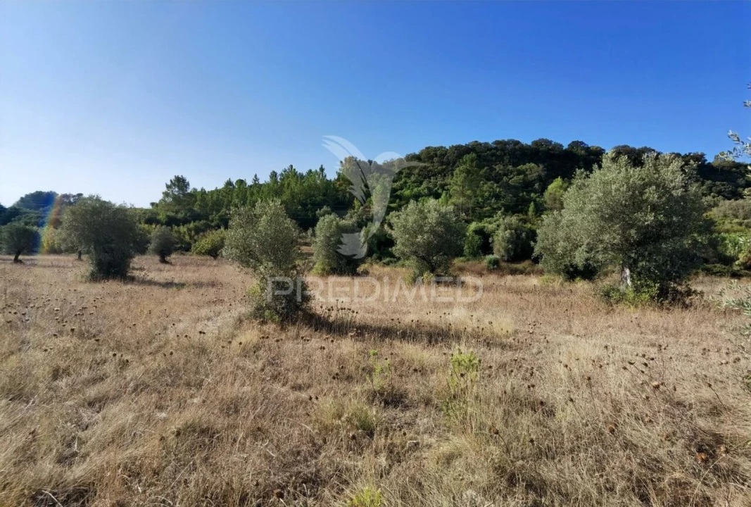 Terreno para Venda em Pedrogão Foto 5
