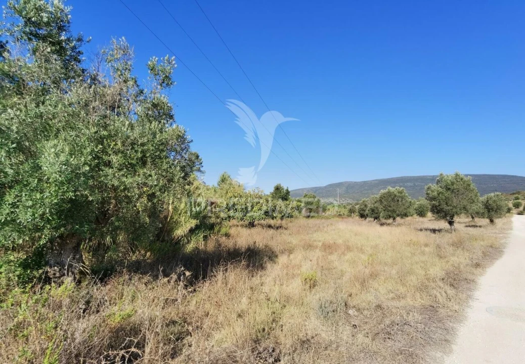Terreno para Venda em Pedrogão Foto 2