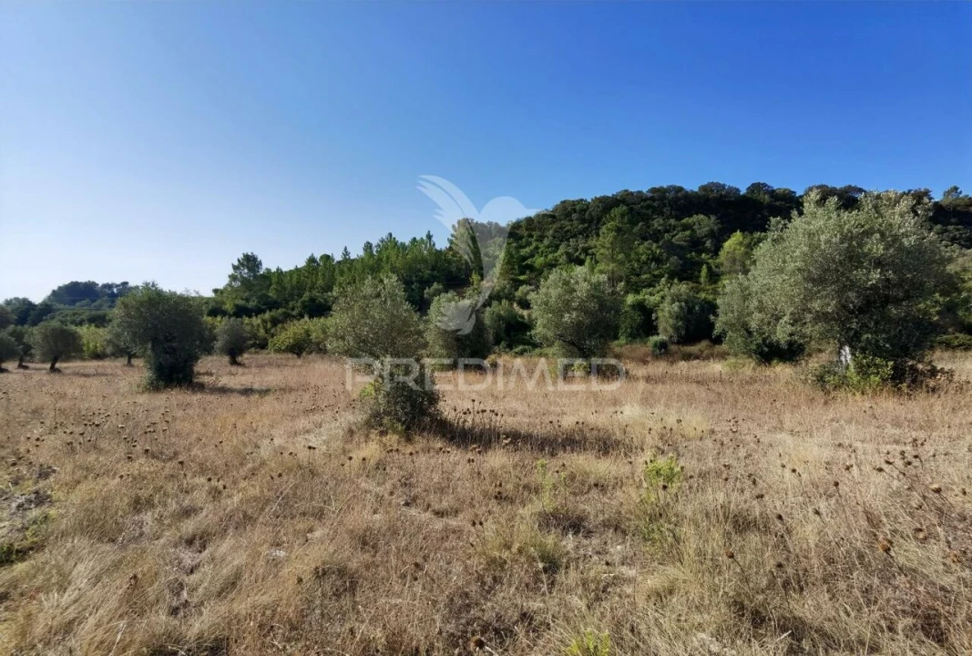 Terreno para Venda em Pedrogão Foto 29