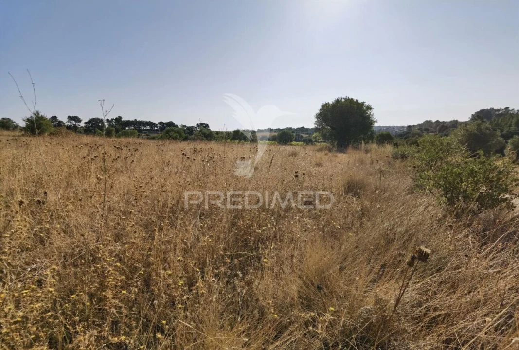 Terreno para Venda em Pedrogão Foto 15