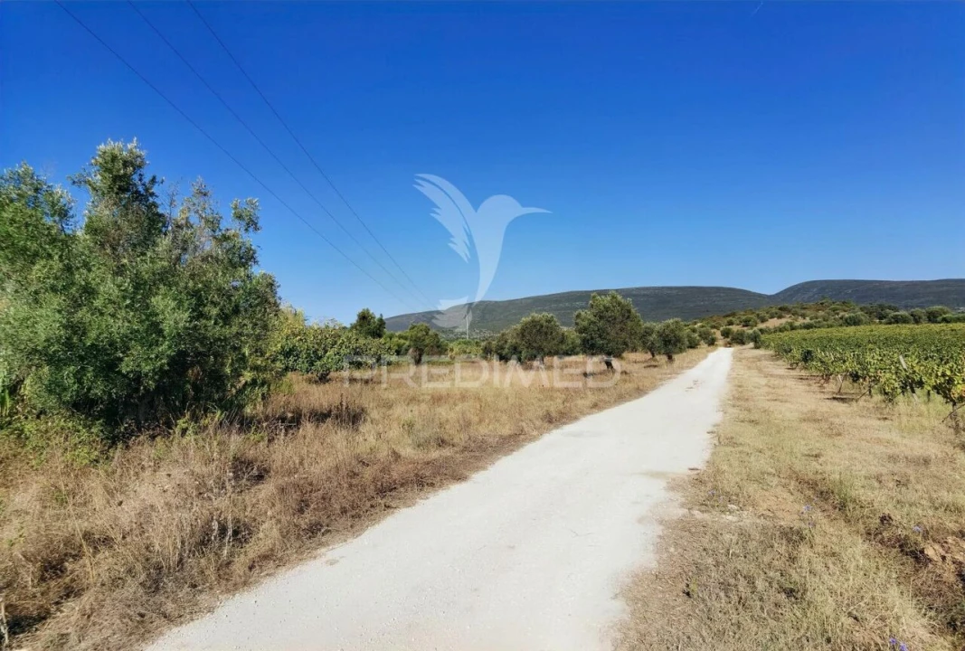 Terreno para Venda em Pedrogão Foto 32