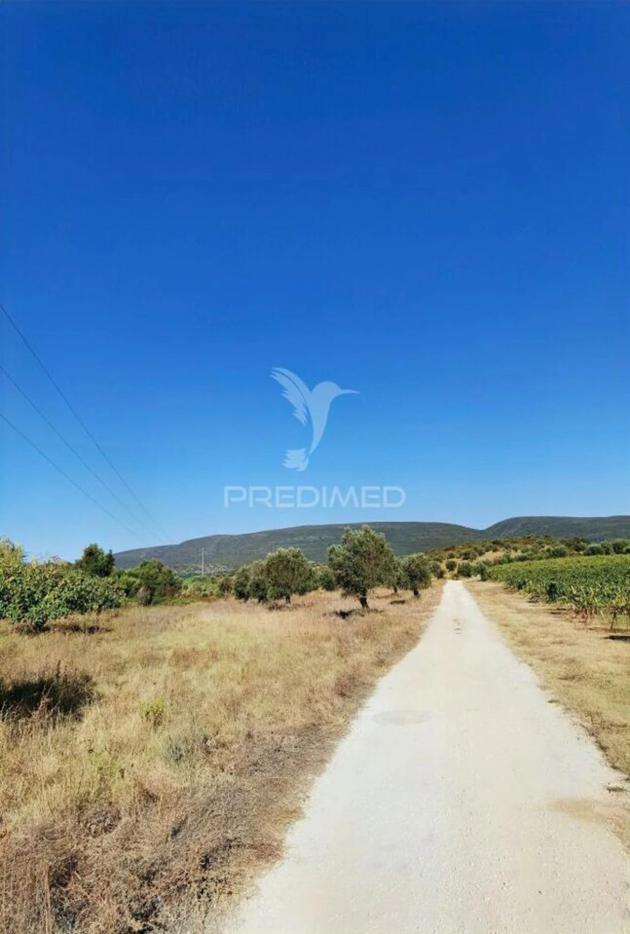 Terreno para Venda em Pedrogão Foto 33