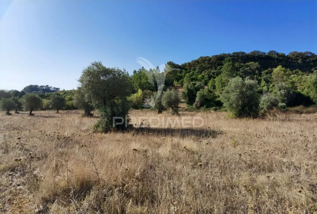 Terreno para Venda em Pedrogão Foto 28