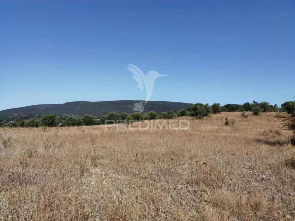 Terreno para Venda em Pedrogão Foto 18