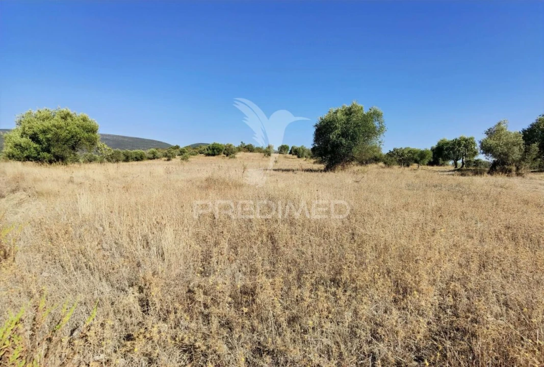 Terreno para Venda em Pedrogão Foto 10