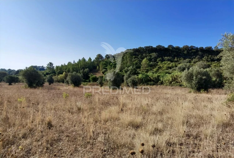 Terreno para Venda em Pedrogão Foto 7
