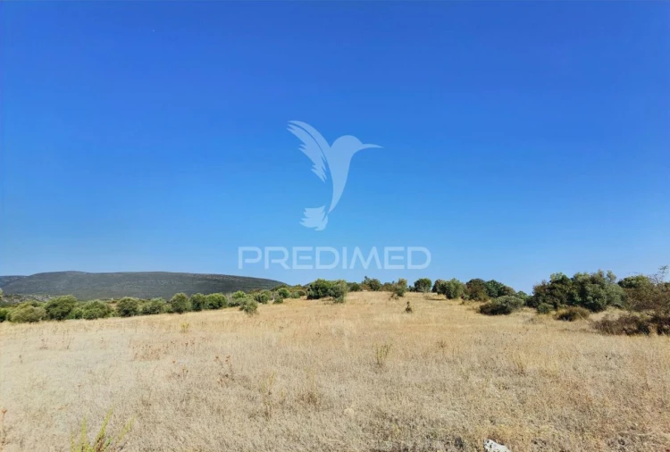 Terreno para Venda em Pedrogão Foto 17