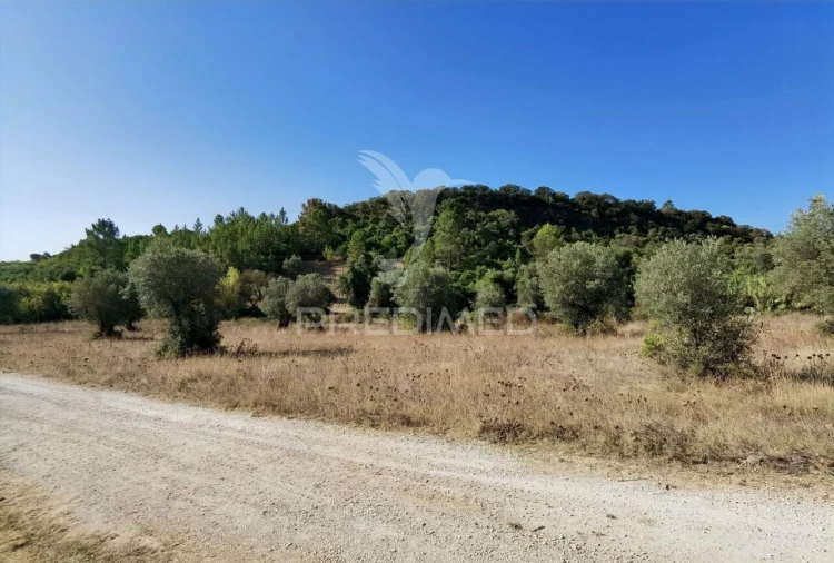 Terreno para Venda em Pedrogão Foto 30