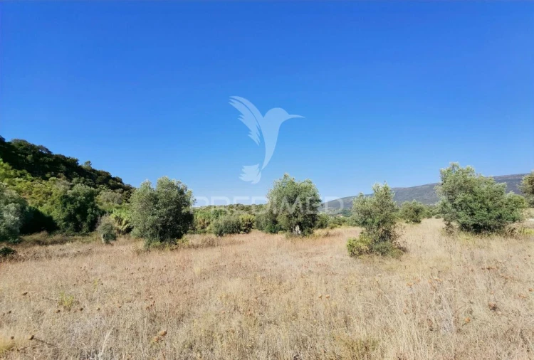 Terreno para Venda em Pedrogão Foto 27