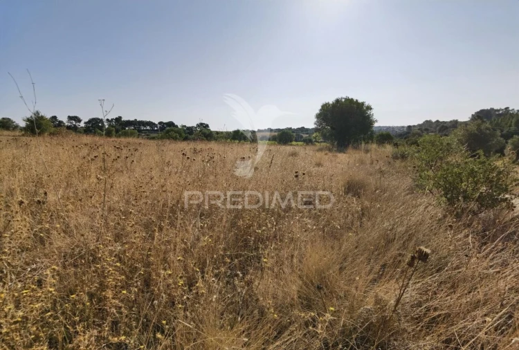 Terreno para Venda em Pedrogão Foto 15