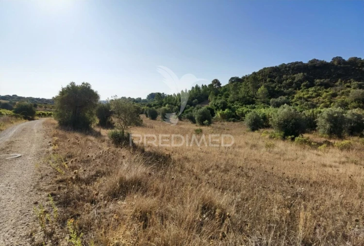 Terreno para Venda em Pedrogão Foto 11