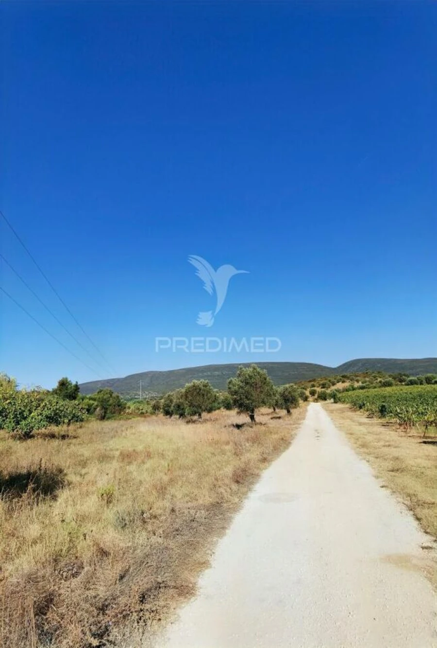 Terreno para Venda em Pedrogão Foto 33