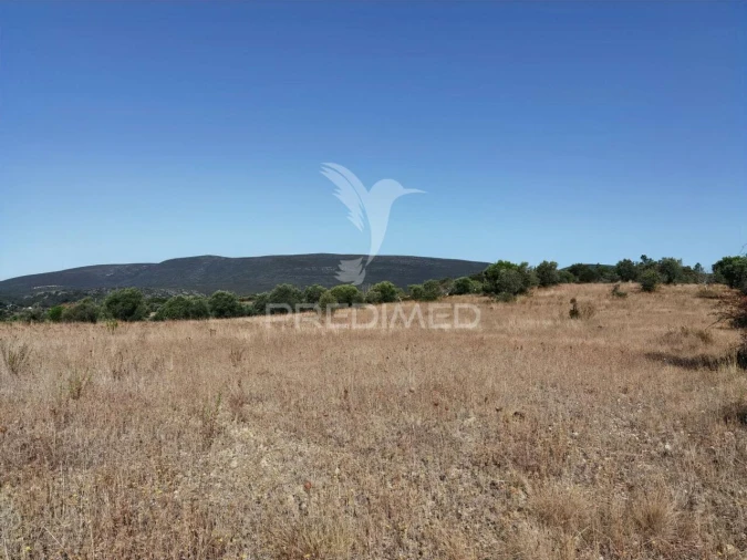 Terreno para Venda em Pedrogão Foto 18