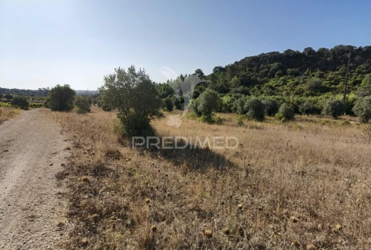 Terreno para Venda em Pedrogão Foto 16