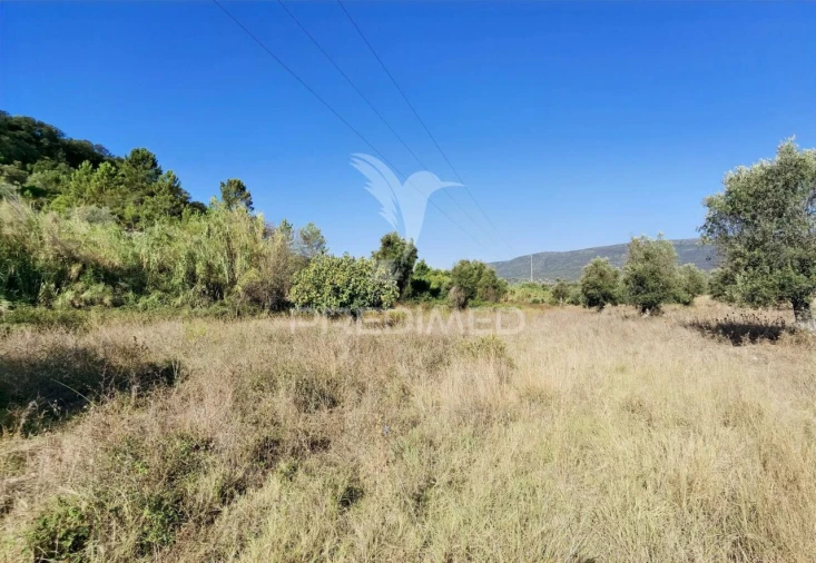 Terreno para Venda em Pedrogão Foto 24