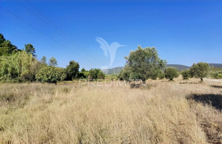 Terreno para Venda em Pedrogão Foto 23