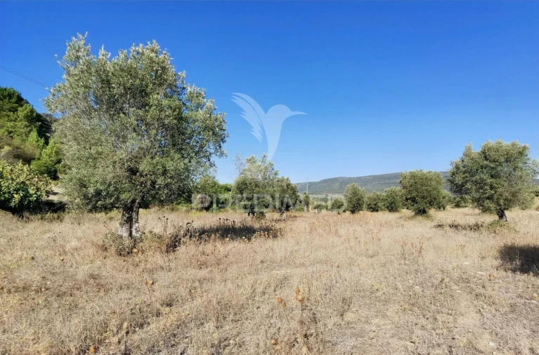 Terreno para Venda em Pedrogão Foto 26