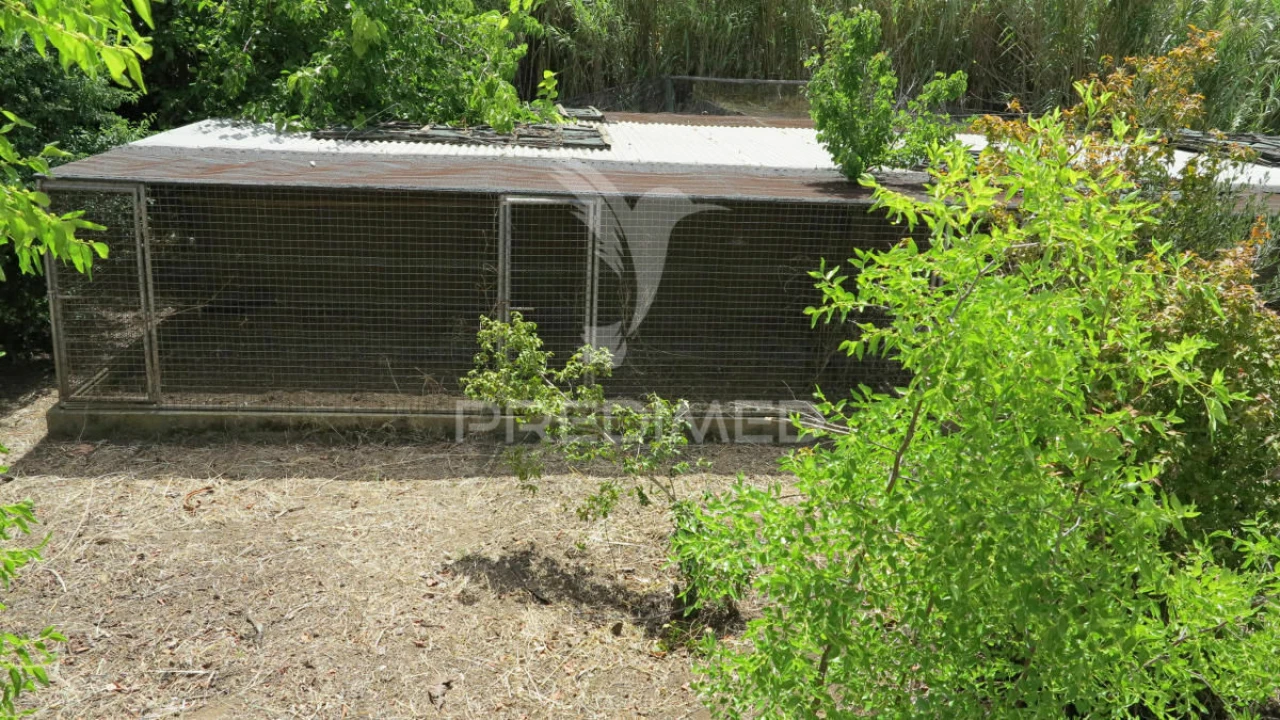 Moradia T6 para Venda em Mexilhoeira Grande Foto 18