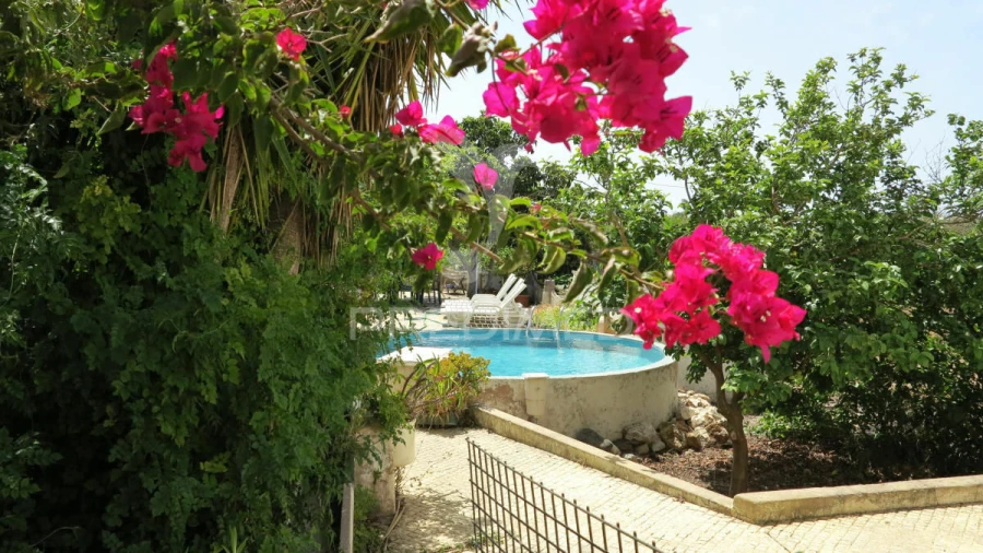 Moradia T6 para Venda em Mexilhoeira Grande Foto 4