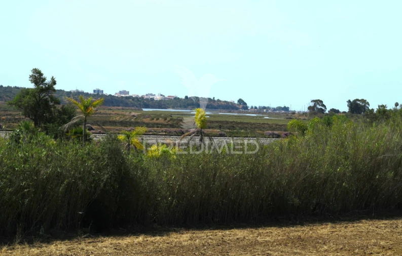 Moradia T6 para Venda em Mexilhoeira Grande Foto 16