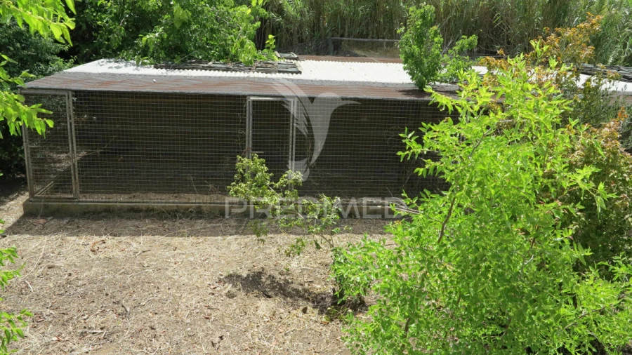 Moradia T6 para Venda em Mexilhoeira Grande Foto 18