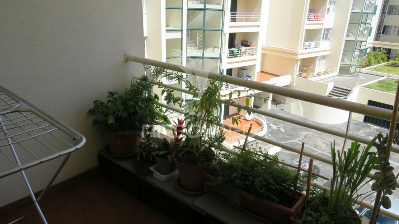 Apartamento T3 para Venda em São Martinho Foto 13