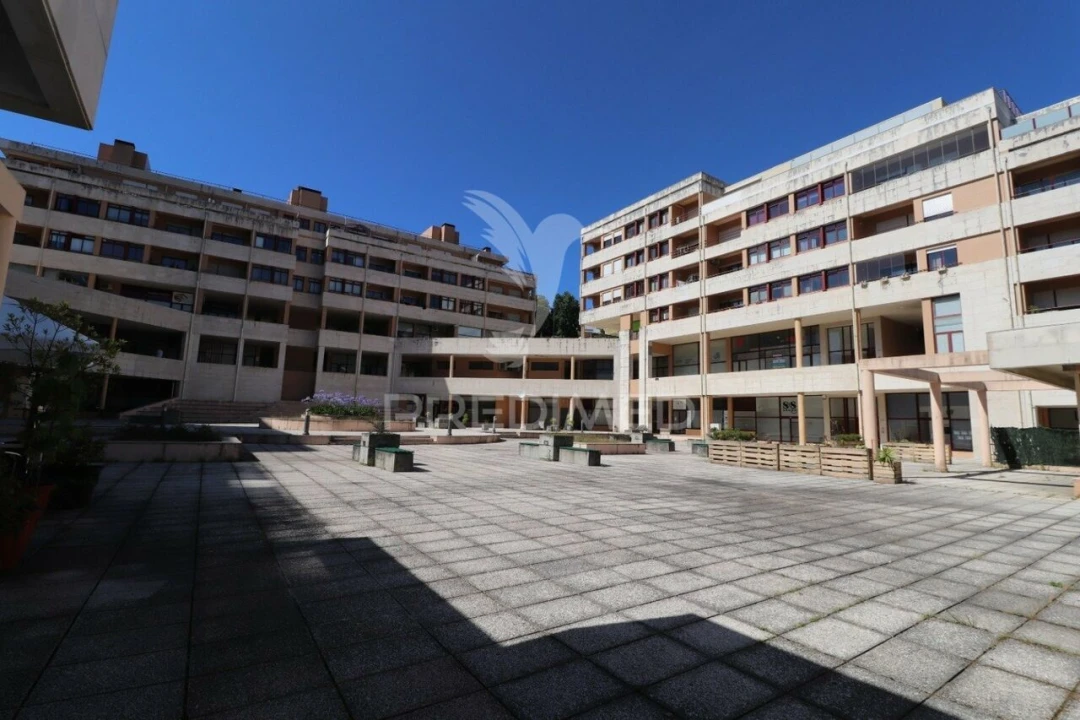 Loja para Venda em Mesão Frio Foto 4