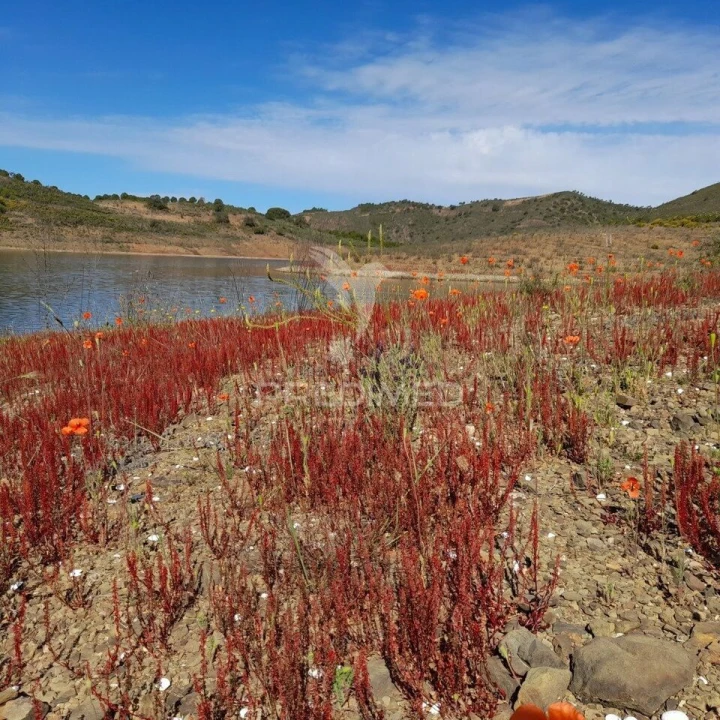 Terreno para Venda em Odeleite Foto 3