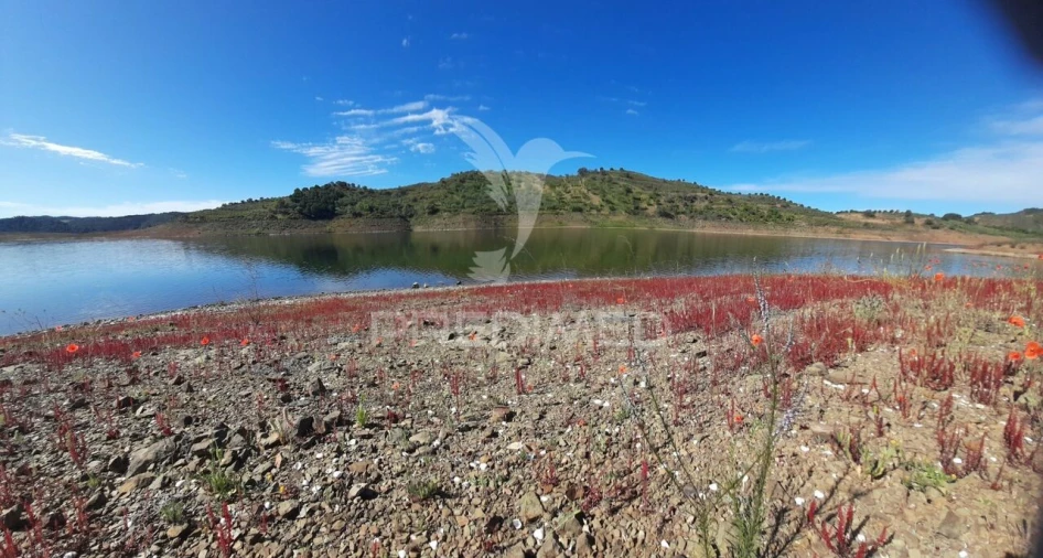 Terreno para Venda em Odeleite Foto 10