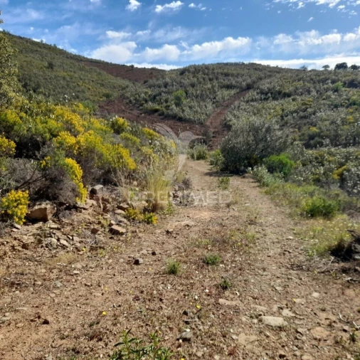 Terreno para Venda em Odeleite Foto 8