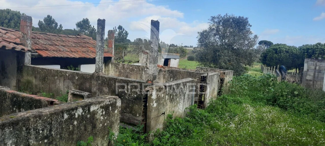 Terreno para Venda em Coruche, Fajarda e Erra Foto 22