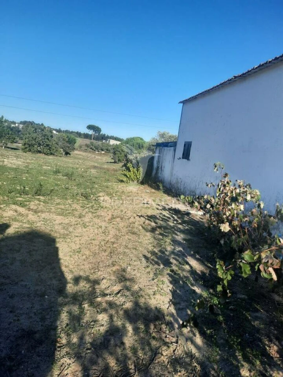 Terreno para Venda em Coruche, Fajarda e Erra Foto 4