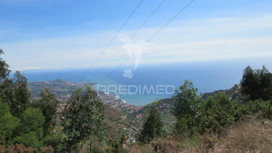Terreno para Venda em Camara de Lobos Foto 1