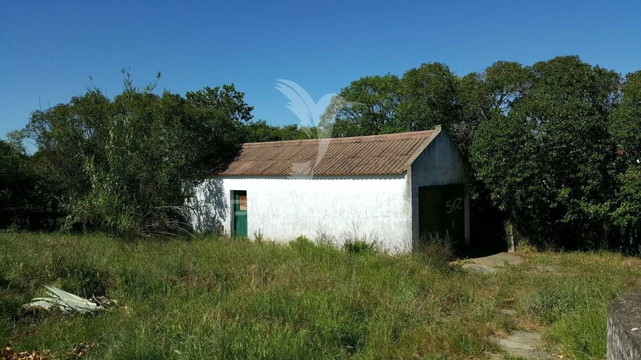 Moradia T4 para Venda em Azinheira dos Barros e São Mamede do Sádão Foto 17