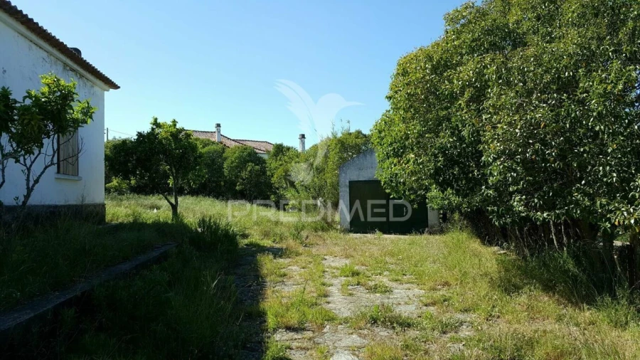 Moradia T4 para Venda em Azinheira dos Barros e São Mamede do Sádão Foto 16