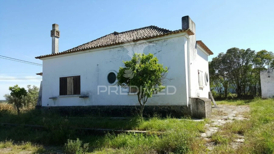 Moradia T4 para Venda em Azinheira dos Barros e São Mamede do Sádão Foto 18