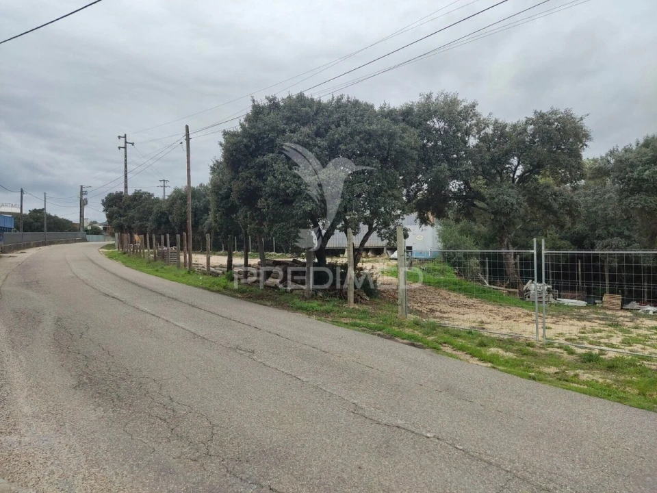 Terreno para Venda em Nossa Senhora das Misericordias Foto 4