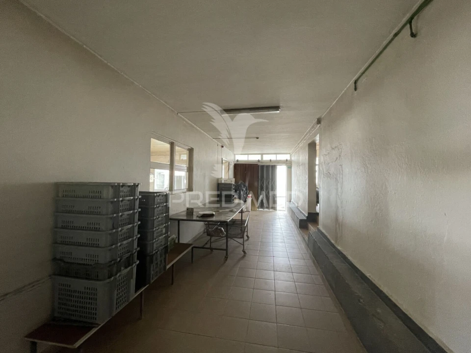 Loja para Venda em Urzelina (São Mateus) Foto 16