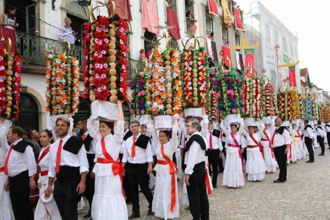 Terreno para Venda em São João Baptista e Santa Maria dos Olivais Foto 5