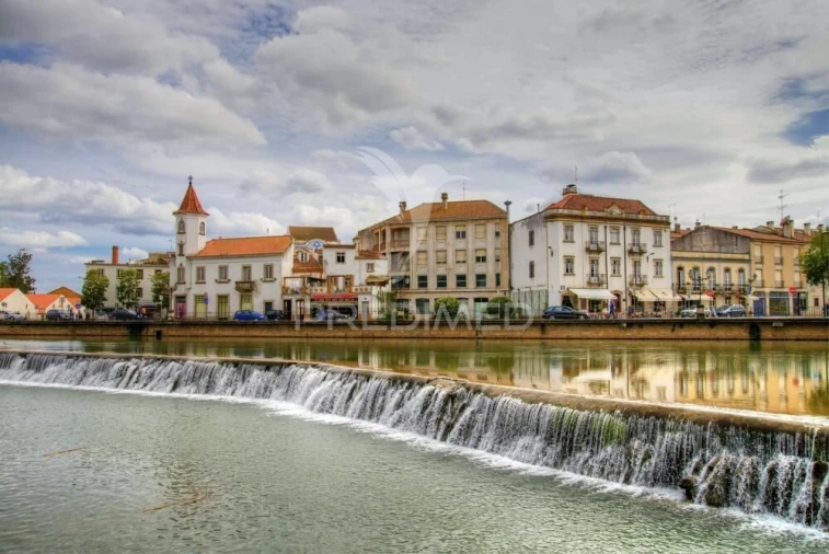 Terreno para Venda em São João Baptista e Santa Maria dos Olivais Foto 8