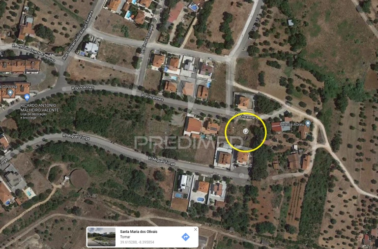 Terreno para Venda em São João Baptista e Santa Maria dos Olivais Foto 11