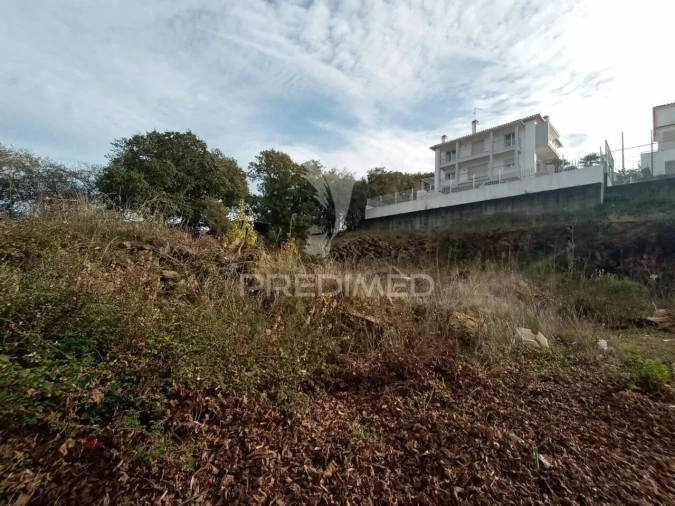 Terreno para Venda em São João Baptista e Santa Maria dos Olivais Foto 3