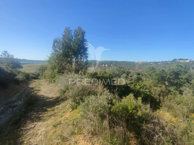 Terreno para Venda em Monsanto Foto 8