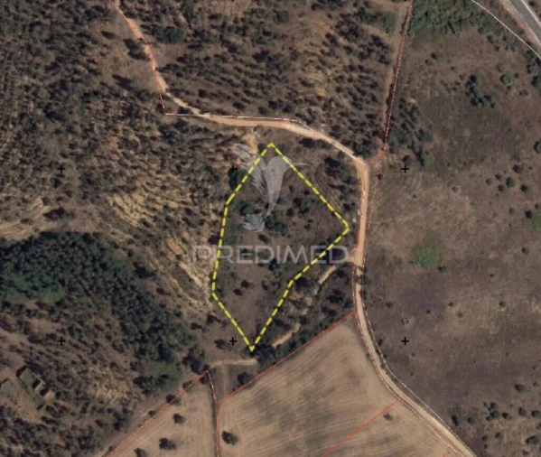 Terreno para Venda em Monsanto Foto 9